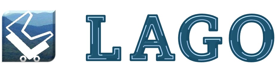 LAGO Consulting & Services