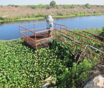 Pump station platform over the canal at Berry Groves