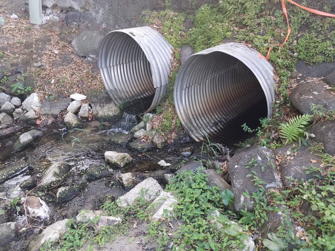 Twin culvert outfall inspected during field verification