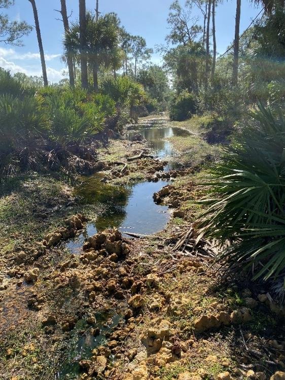 Eroded Seaboard Atlantic Grade ditch in the field